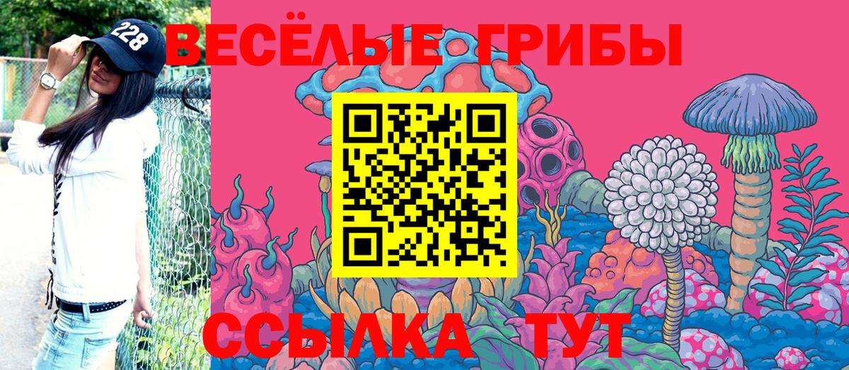Южно-Сахалинск  Галлюциногенные грибы прущие грибы  Вход с VPN 